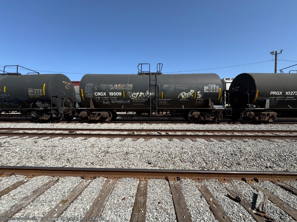 CRGX 19509